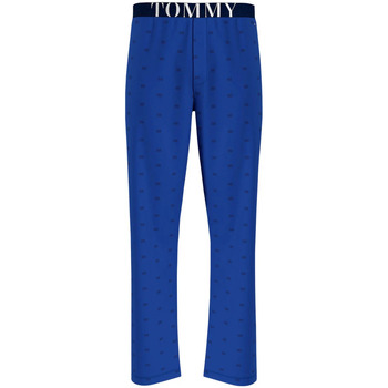Vêtements Homme Pyjamas / Chemises de nuit Tommy Toe Hilfiger 140036VTAH22 Bleu