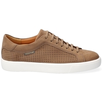 Chaussures Homme Tennis Mephisto CARL PERF TAUPE