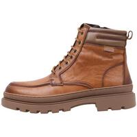Chaussures Homme Boots Pikolinos OURENSE M6U-8125 Marron