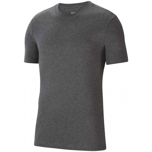 Vêtements Homme T-shirts & Polos Nike CZ0881-071 Gris