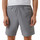 Vêtements Homme Shorts / Bermudas Calvin Klein Jeans 00GMS2S805 Gris