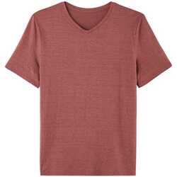 Vêtements Homme T-shirts manches courtes Achel Par Lemahieu T-shirt col V homme lin Bordeaux