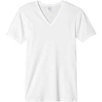 Vêtements Homme T-shirts manches courtes Achel Par Lemahieu T-Shirt seconde peau - Col V Blanc