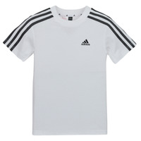Vêtements Enfant T-shirts manches courtes Adidas Sportswear LK 3S CO TEE Blanc