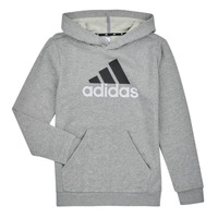 Vêtements Garçon Sweats Adidas Sportswear BL 2 HOODIE bruyere gris moyen