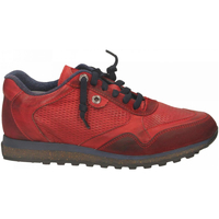 Chaussures Homme Derbies Exton ANTICATO Rouge