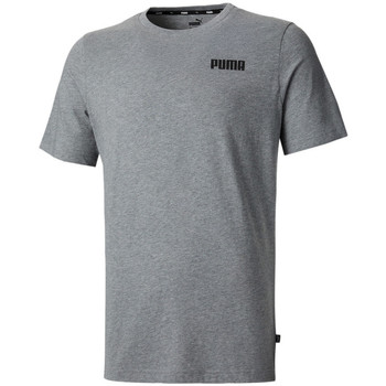Vêtements Homme T-shirts manches courtes track Puma 847225-03 Gris