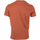 Vêtements Homme T-shirts manches courtes Champion Crewneck T-Shirt Orange