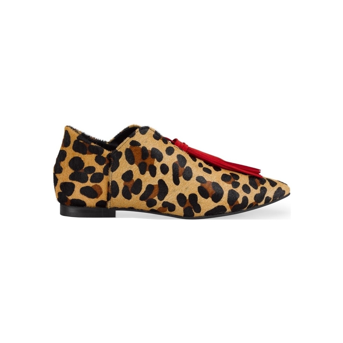 Chaussures Femme Ballerines / babies Maray Blossom - Leopard Multicolore