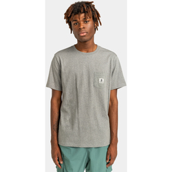 Vêtements Homme T-shirts & Polos Element Basic Pocket gris -  heather
