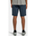 Vêtements Homme Shorts / Bermudas Element Howland Classic Bleu