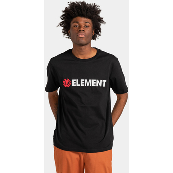 Vêtements Homme T-shirts & Polos Element Blazin Noir