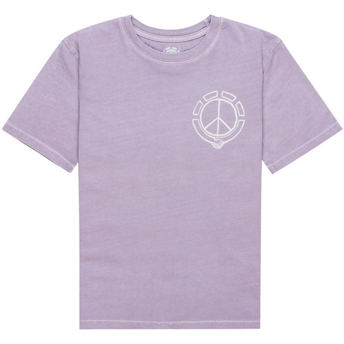 Vêtements Femme T-shirts manches courtes Element Peace Violet
