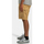Vêtements Homme Shorts / Bermudas Element Legion Vert