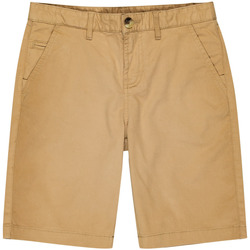 Vêtements Garçon Shorts / Bermudas Element Howland Classic vert - khaki