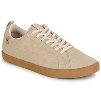Chaussures Homme Baskets basses Saola CANNON CANVAS Beige