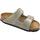 Chaussures Femme Tongs Birkenstock 0951303 Arizona BS Beige