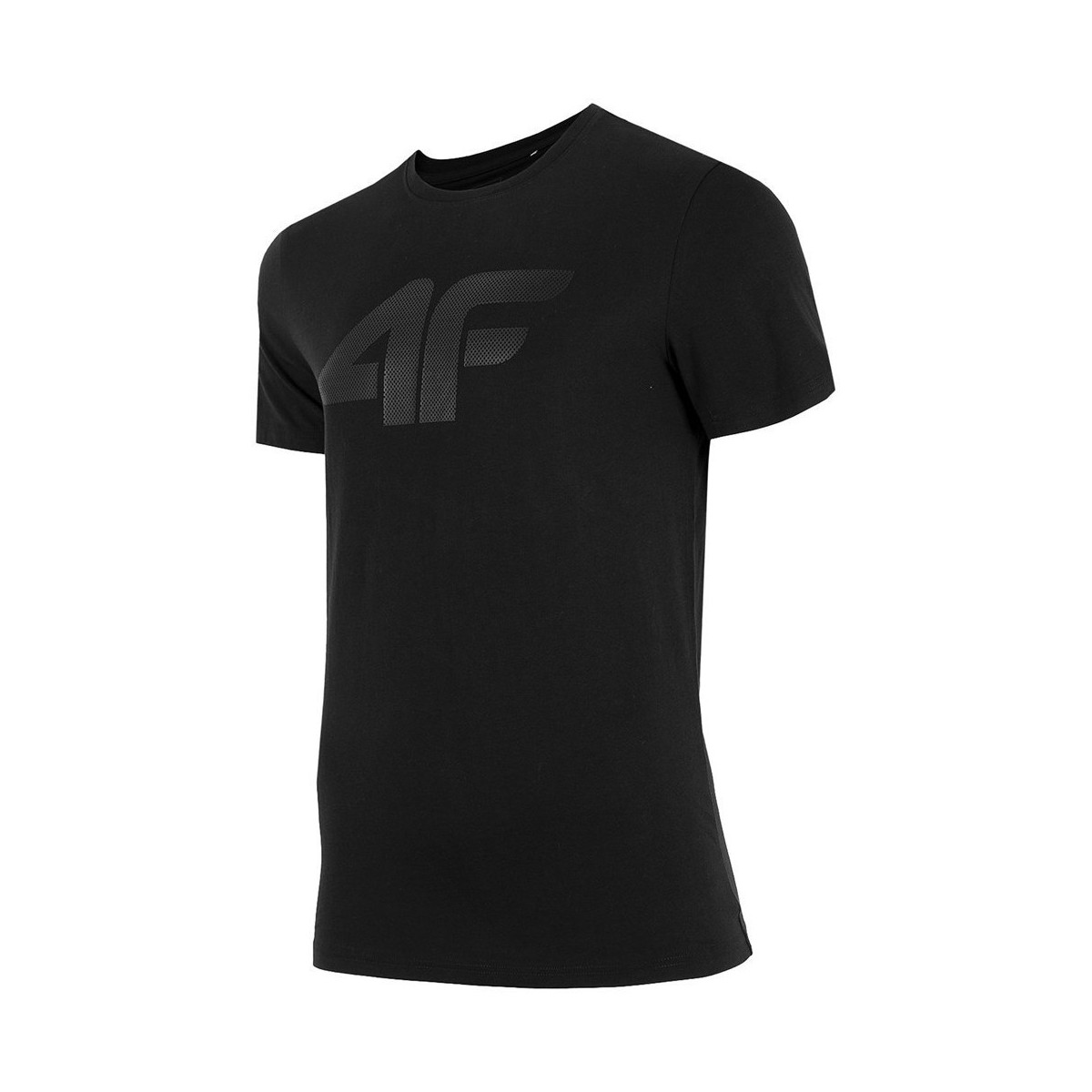 Vêtements Homme T-shirts manches courtes 4F TSM353 Noir