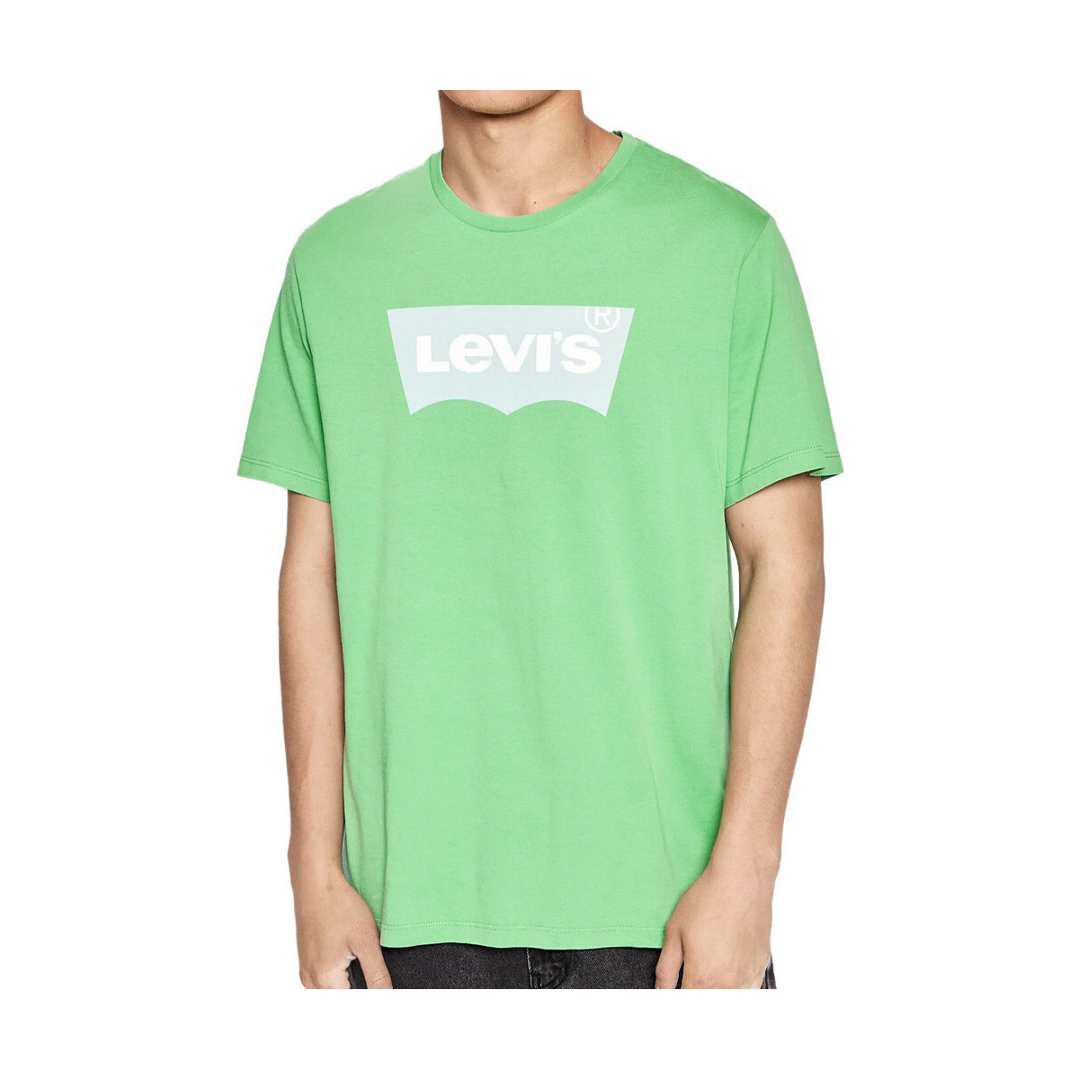 Vêtements Homme T-shirts & Polos Levi's 22491-0234 Vert