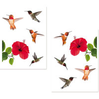 Tous les sports enfant Stickers Sud Trading Adhésifs de vitres Hibiscus et colibris Rouge