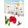 Maison & Déco Stickers Sud Trading Adhésifs de vitres Hibiscus et colibris Rouge