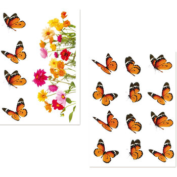 Maison & Déco Stickers Cadoons Adhésifs de vitres papillons Multicolore