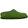 Chaussures Homme Chaussons Haflinger FLAIR SMILY Vert