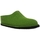 Chaussures Homme Chaussons Haflinger FLAIR SMILY Vert