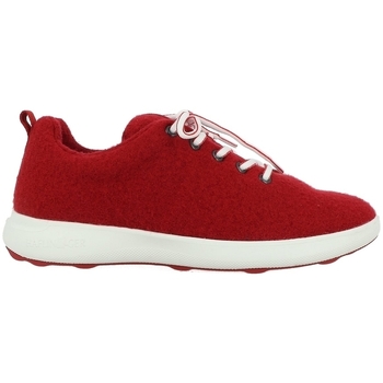 Chaussures Homme Derbies Haflinger WOOLSNEAKER EVERY DAY Rouge