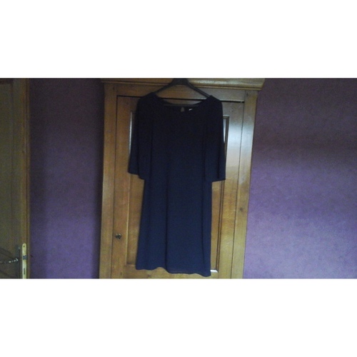 Vêtements Femme Robes courtes Paniers / boites et corbeilles Robe fluide Bleu