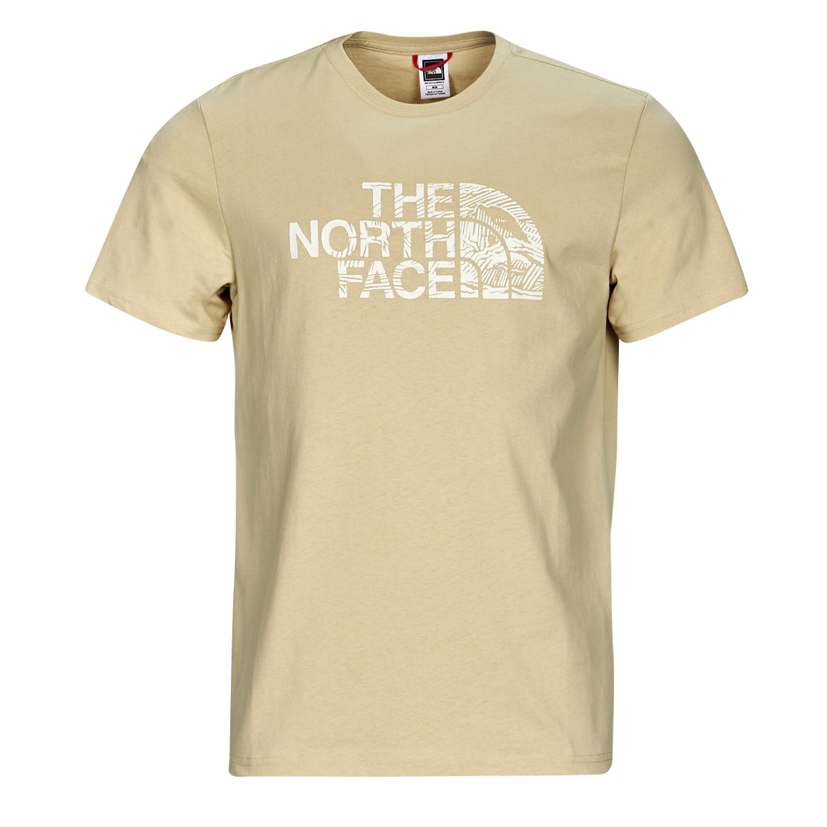 Vêtements Homme T-shirts Regatta manches courtes The North Face S/S WOODCUT DOME TEE Beige