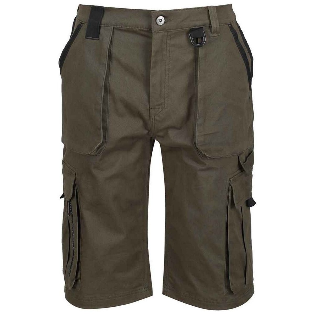 Vêtements Homme Shorts tapered-fit / Bermudas Regatta RG741 Multicolore