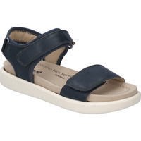 Chaussures Femme Sandales et Nu-pieds Westland Albi 01, ocean Bleu
