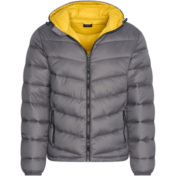 Vêtements Homme Parkas Cappuccino Italia Hooded Winter Jacket Antraciet Gris