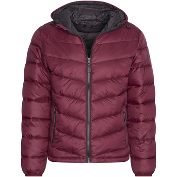 Vêtements Homme Parkas Cappuccino Italia Hooded Winter Jacket Burgundy Rouge