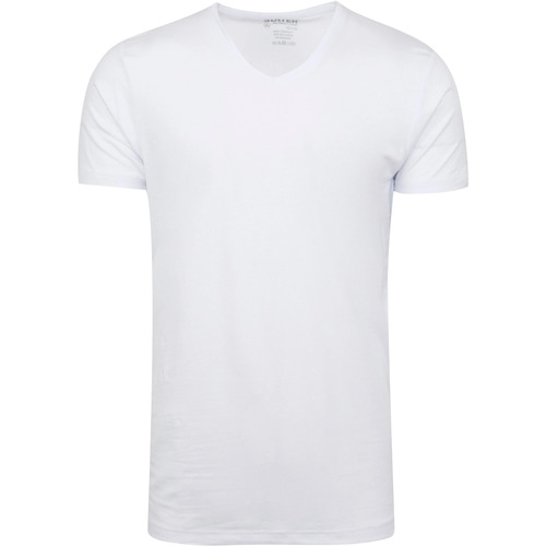 Vêtements Homme T-shirts & Polos Slater T-shirts 10+10 Col V Lot de 2 Blanc Blanc