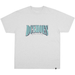 Vêtements Homme T-shirts manches courtes DC SHOES Running Tall Stack Gris