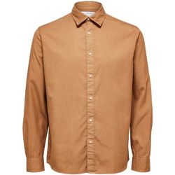 Vêtements Homme Chemises manches longues Selected 16087722 REGPASTEL-TOASTED COCONUT Marron