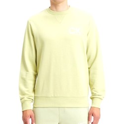Vêtements Homme T-shirts manches courtes Calvin Klein Jeans K10K110750 Vert