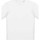 Vêtements Homme T-shirts manches longues Native Spirit PC5106 Blanc