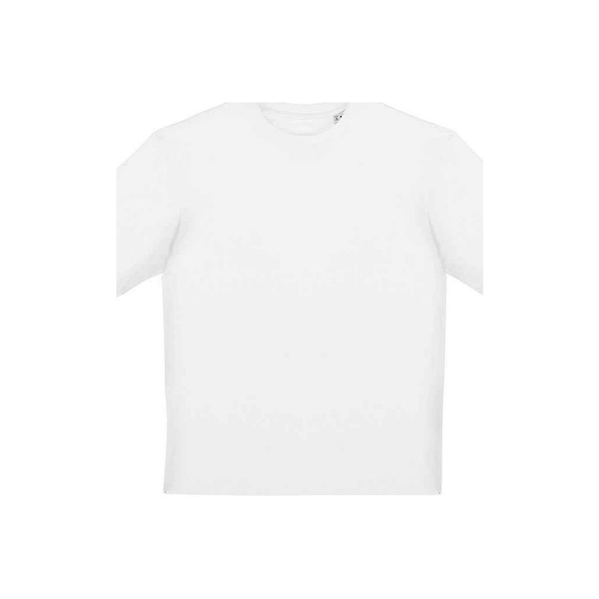Vêtements Homme T-shirts manches longues Native Spirit PC5106 Blanc