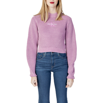 Vêtements Femme Pulls Calvin Klein Jeans J20J220447 Violet