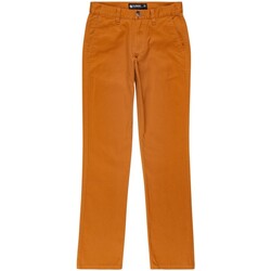Vêtements Garçon Jeans Element Pantalon chino junior - camel Autres