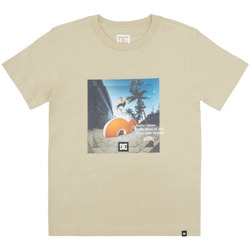 Vêtements Garçon T-shirts manches courtes DC Shoes Jaakko beige - overcast