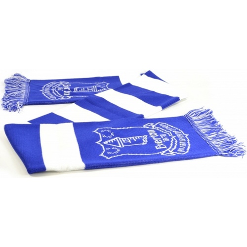 Accessoires textile Echarpes / Etoles / Foulards Everton Fc  Blanc