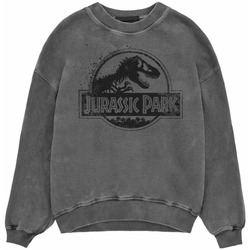 Vêtements Sweats Jurassic Park HE1266 Noir