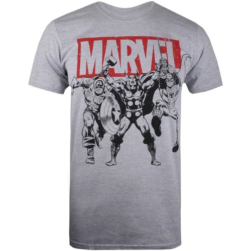 Vêtements Homme T-shirts manches longues Marvel Trio Heroes Gris