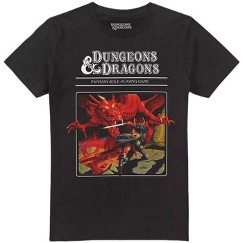 Vêtements Homme T-shirts manches longues Dungeons & Dragons Original Noir