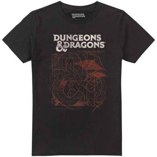 Vêtements Homme T-shirts manches longues Dungeons & Dragons TV1784 Noir