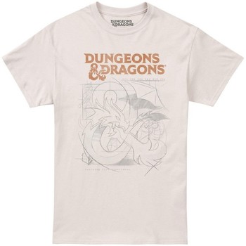 Vêtements Homme T-shirts manches longues Dungeons & Dragons TV1784 Beige